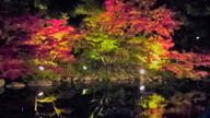 徳川園