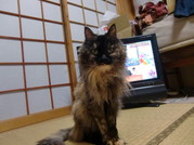 ねこ"