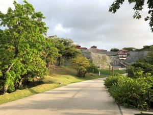 城