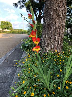 花