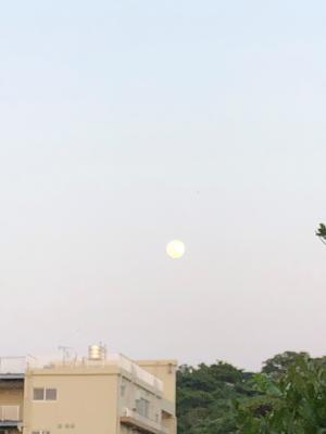 月