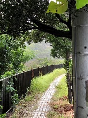 雨宿り