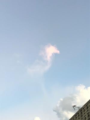 たつの