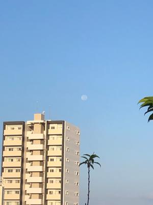 まだ満月