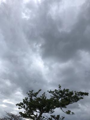 空