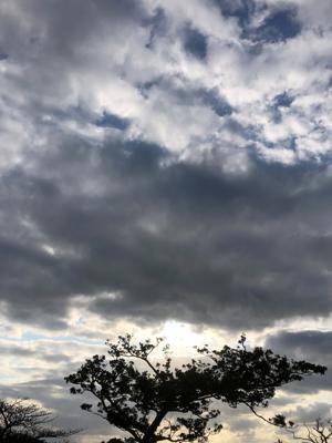 空