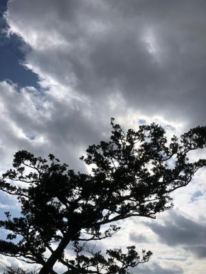 空