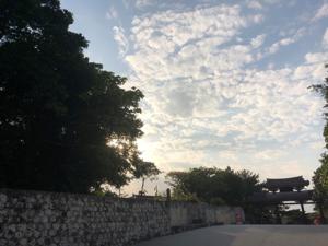 城