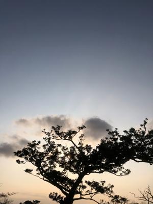 空