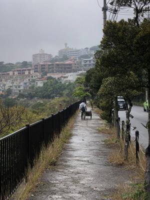 雨