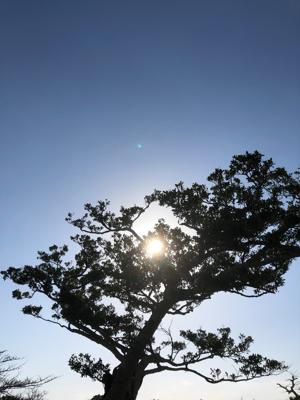 空