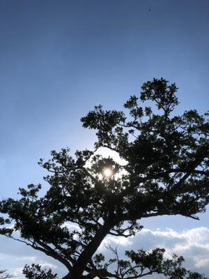 空