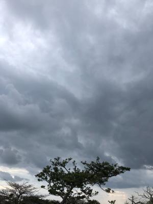 空
