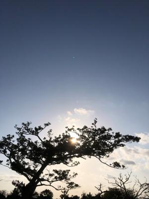 空