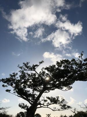 空