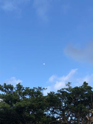 空