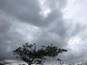 空