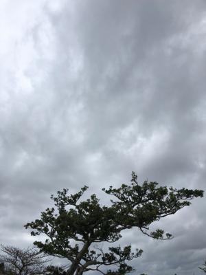 空