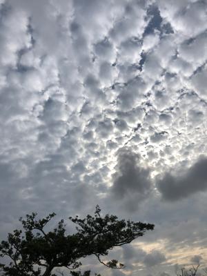 空