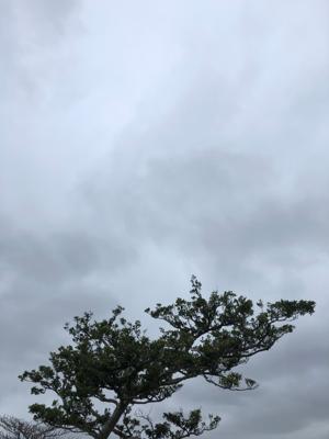 空