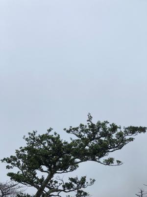 空