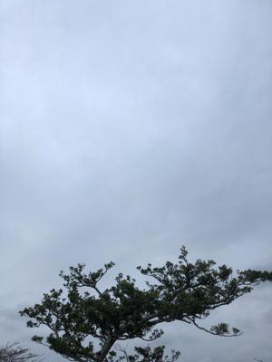 空