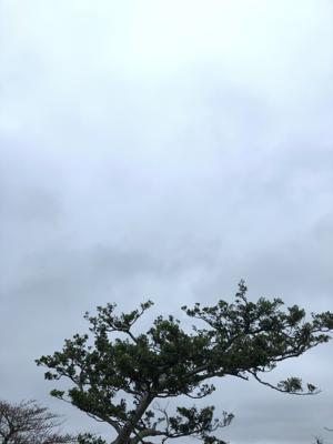 空