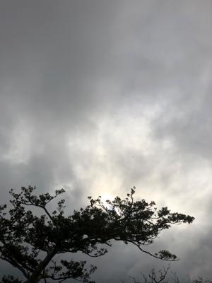 空