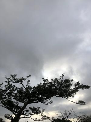 空