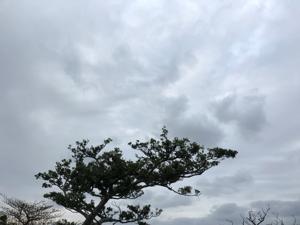 空