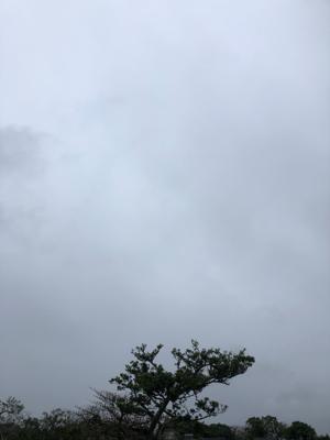 空