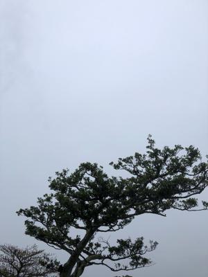 空