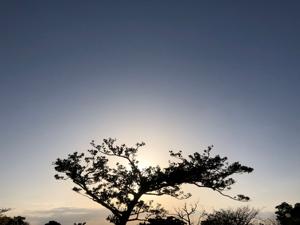 空