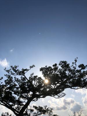 空
