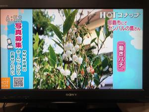 採用