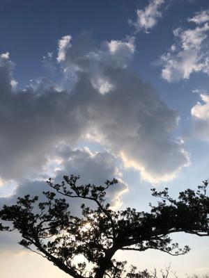 空