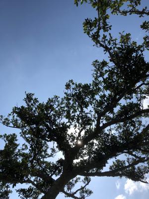 空