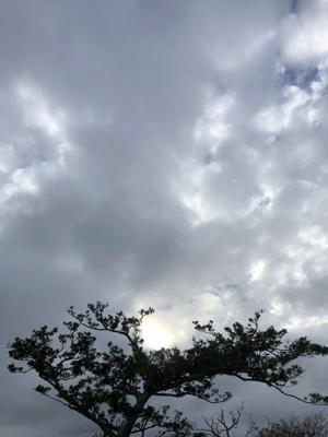 空