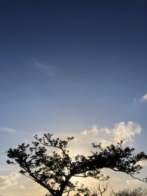 空