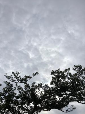 空
