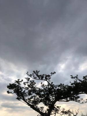 空