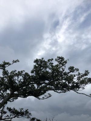 空
