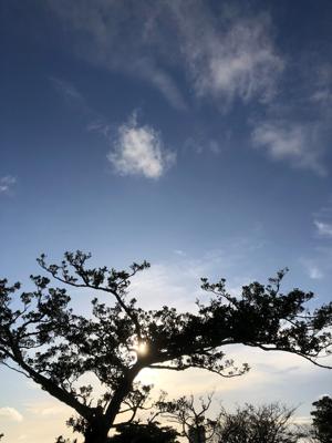 空