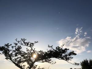 空