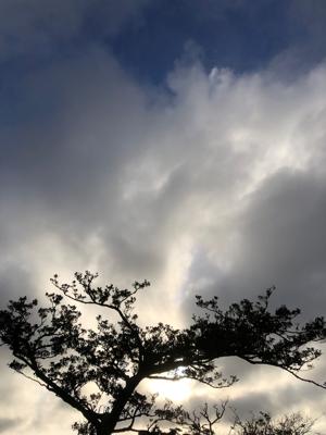 空