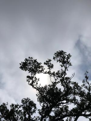 空