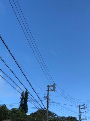 空