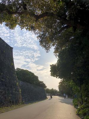 門