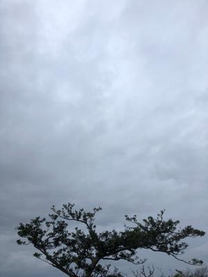 空