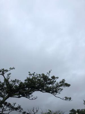 空